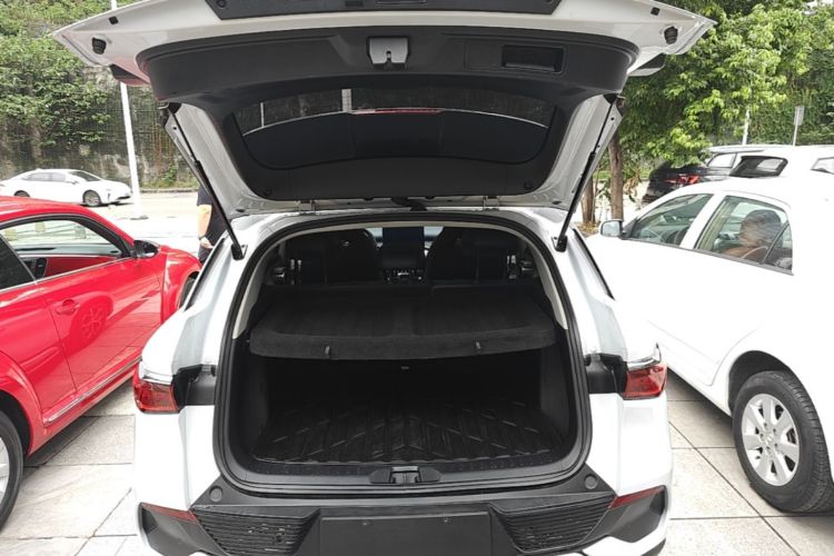 BYD Yuan Plus 2023 car image #19