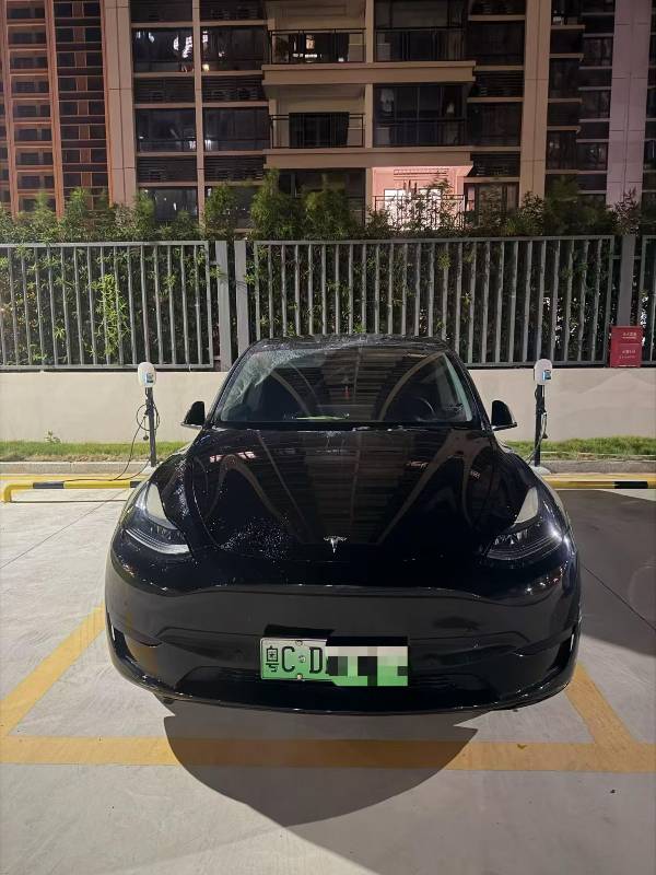 Tesla Model Y 2022 Tesla Model Y 2022 car image