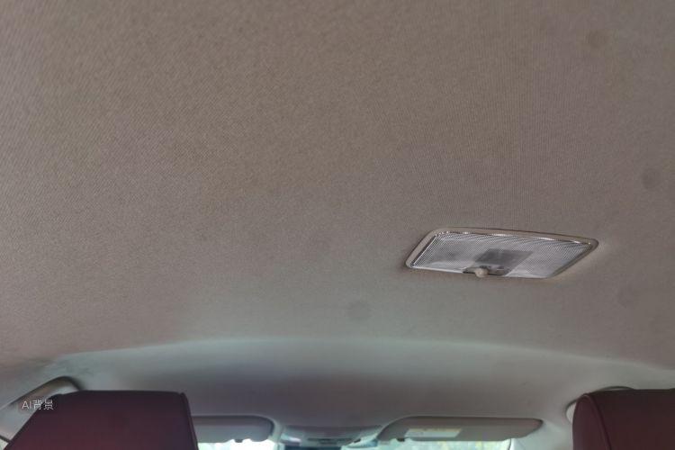 Toyota Corolla 2020 car image #20