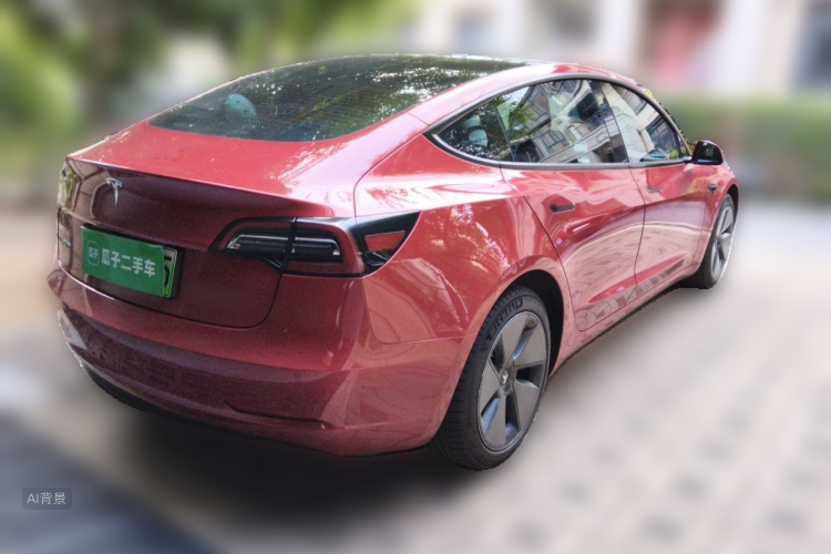 Tesla Model 3 2021 immagine di auto #7