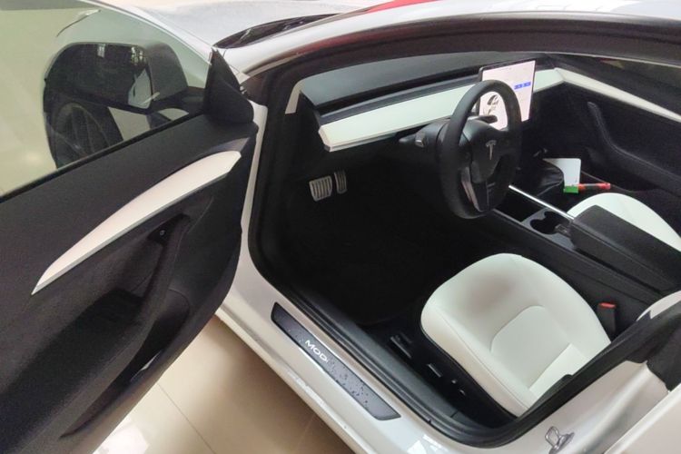 Tesla Model 3 2021 car image #12