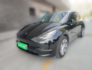 Tesla Model Y 2021 Tesla Model Y 2021 car image