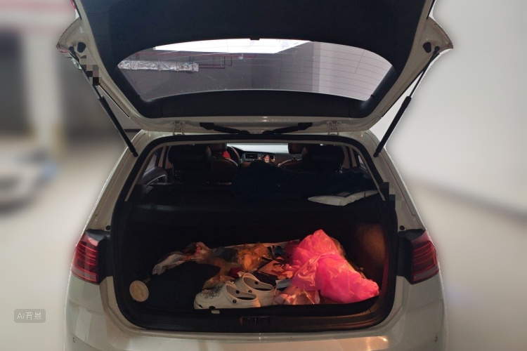 Volkswagen Golf 2019 #21 Volkswagen Golf 2019 car image #21