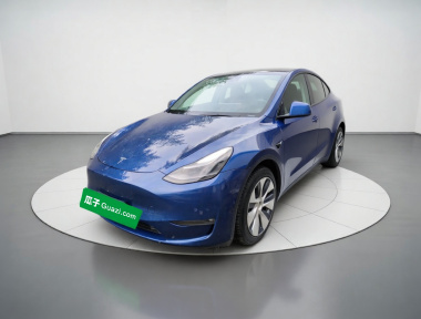Tesla Model Y 2021 Tesla Model Y 2021 car image
