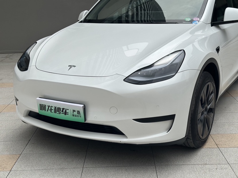 Tesla Model Y 2024 car image #2