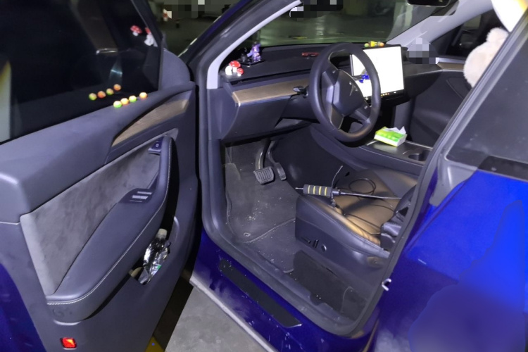 Tesla Model Y 2021 #9 Tesla Model Y 2021 car image #9