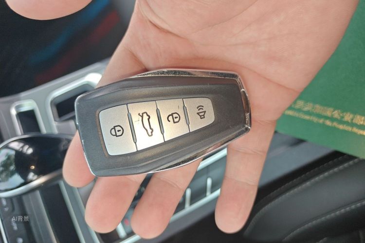 GEELY Emgrand 2020 car image #10