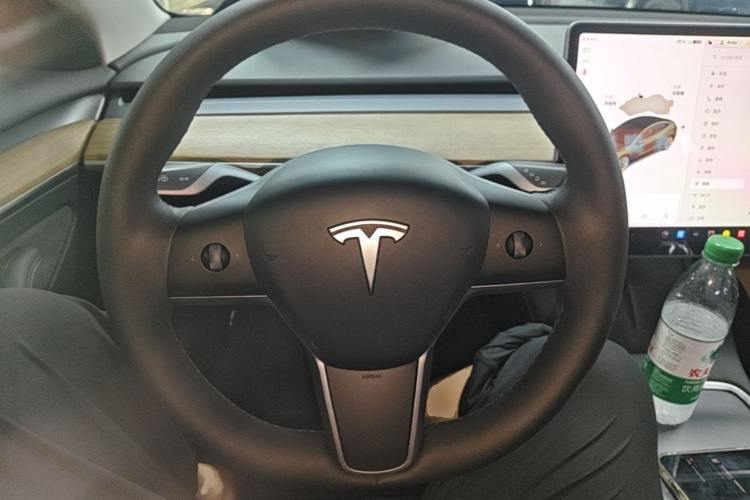 Tesla Model 3 2021 car image #11