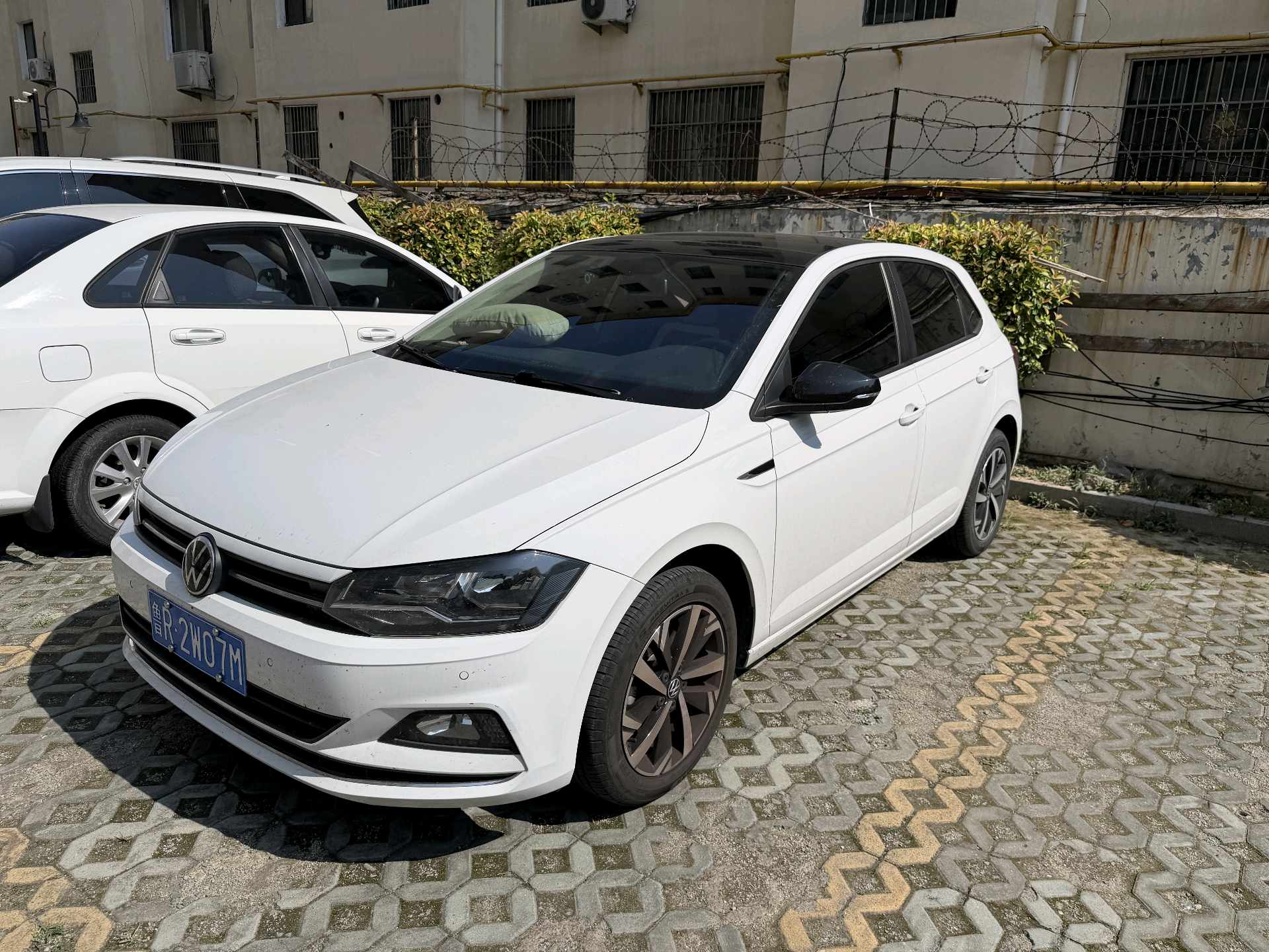 Volkswagen Polo 2023 Volkswagen Polo 2023 car image