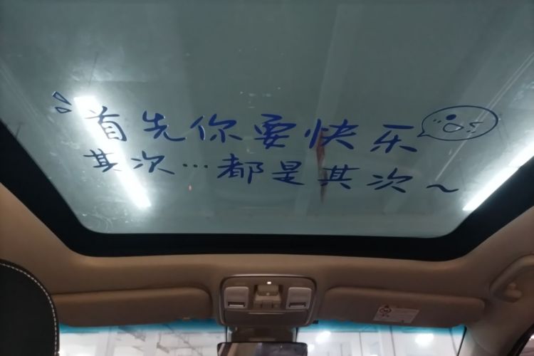 GEELY Emgrand GS 2019 immagine di auto #18