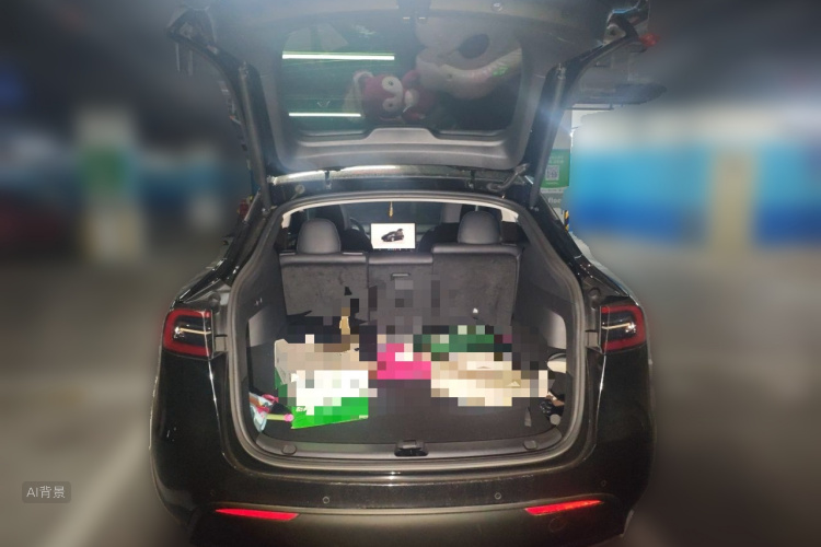 Tesla Model Y 2022 car image #21