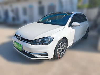 Volkswagen Golf 2019 Volkswagen Golf 2019 car image