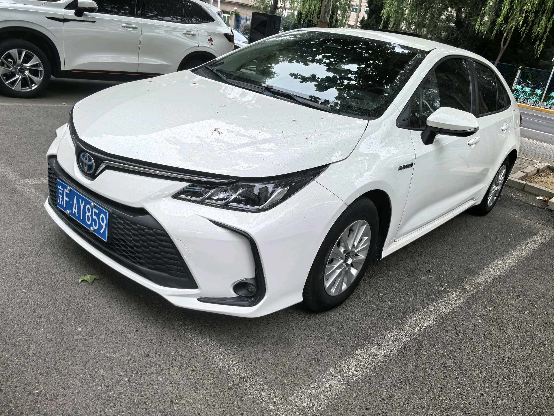 Toyota Corolla 2023 Toyota Corolla 2023 car image