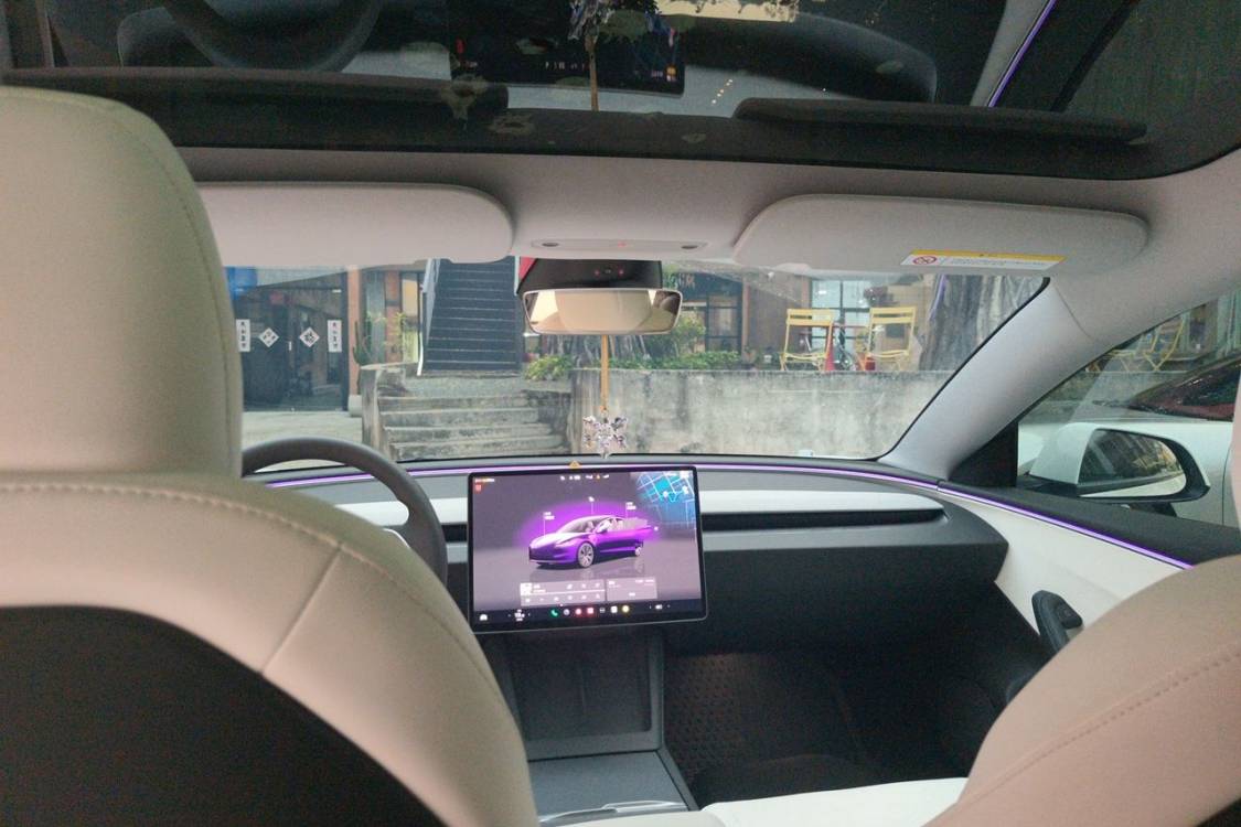 Tesla Model 3 2024 imagen de coche #20