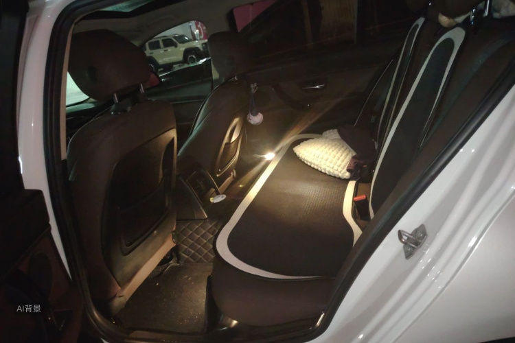 BMW 3 Series 2019 car image #19