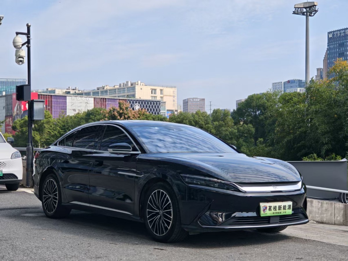 BYD Han 2022 immagine di auto #3