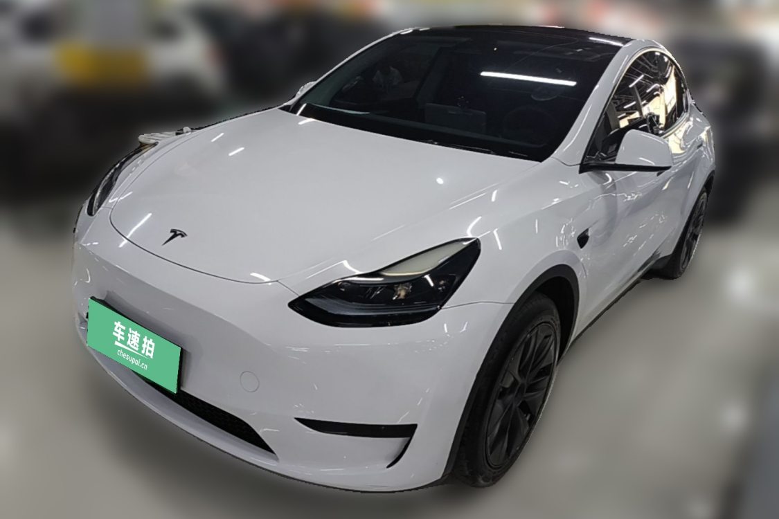 Tesla Model Y 2024 car image 