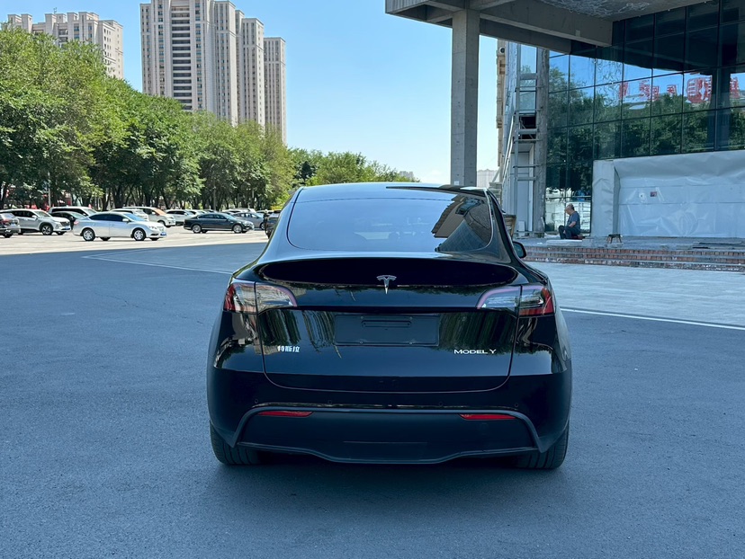 Tesla Model Y 2021 car image #7