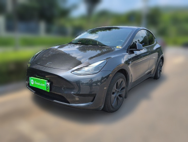 Tesla Model Y 2024 car image 