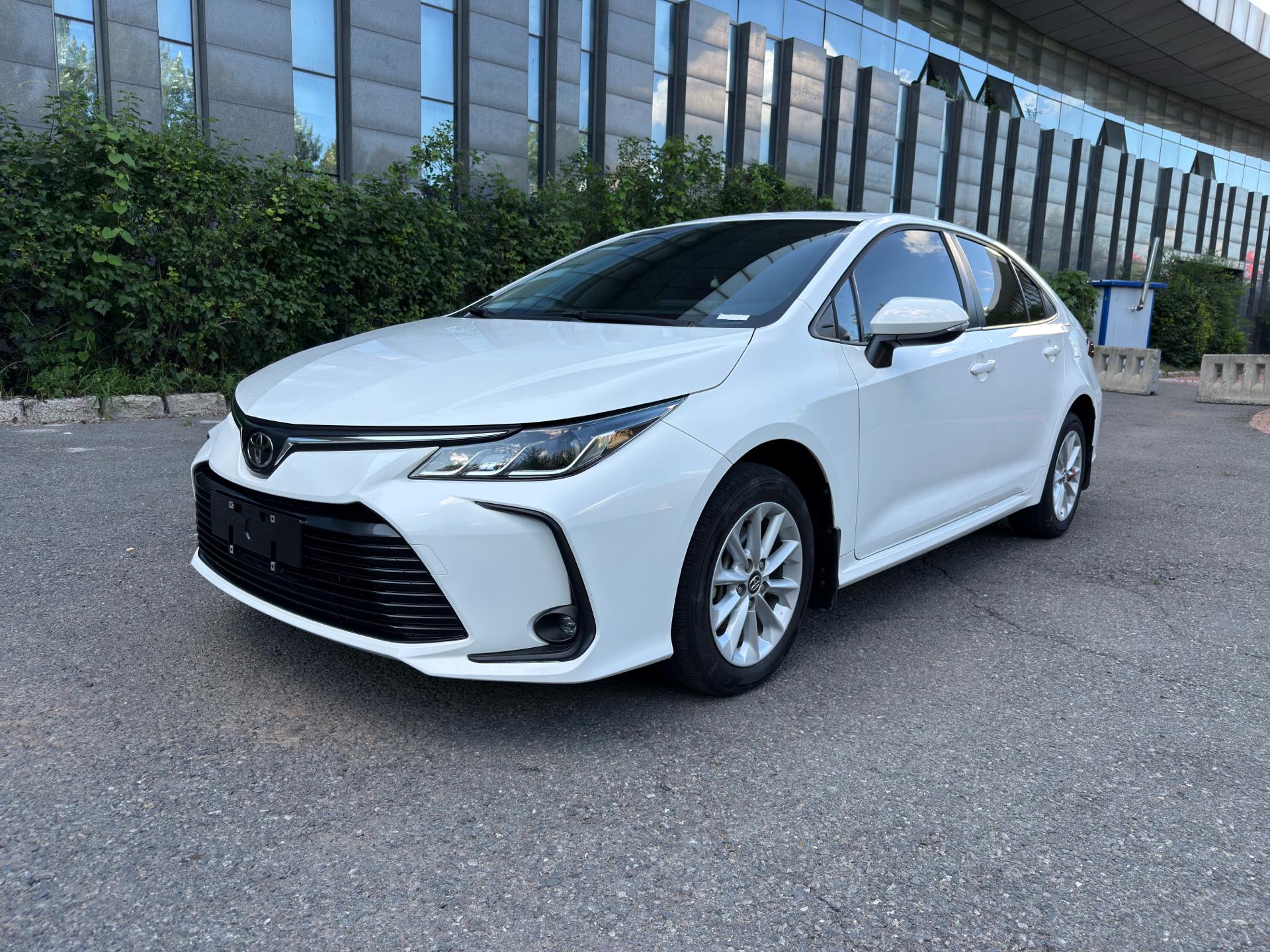 Toyota Corolla 2023 immagine di auto 