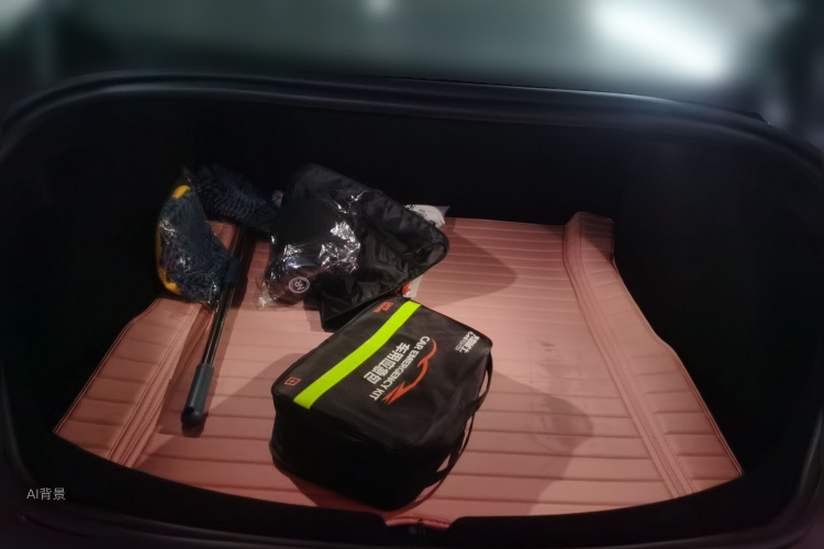 Tesla Model 3 2024 car image #21