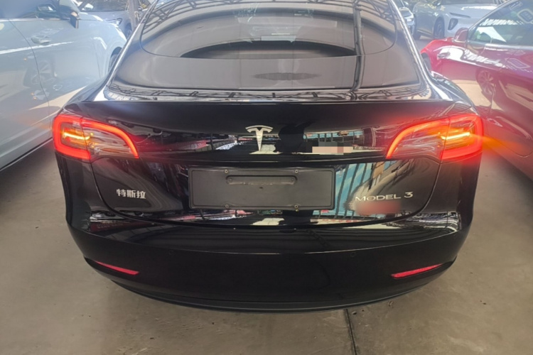 Tesla Model 3 2021 #6 Tesla Model 3 2021 car image #6
