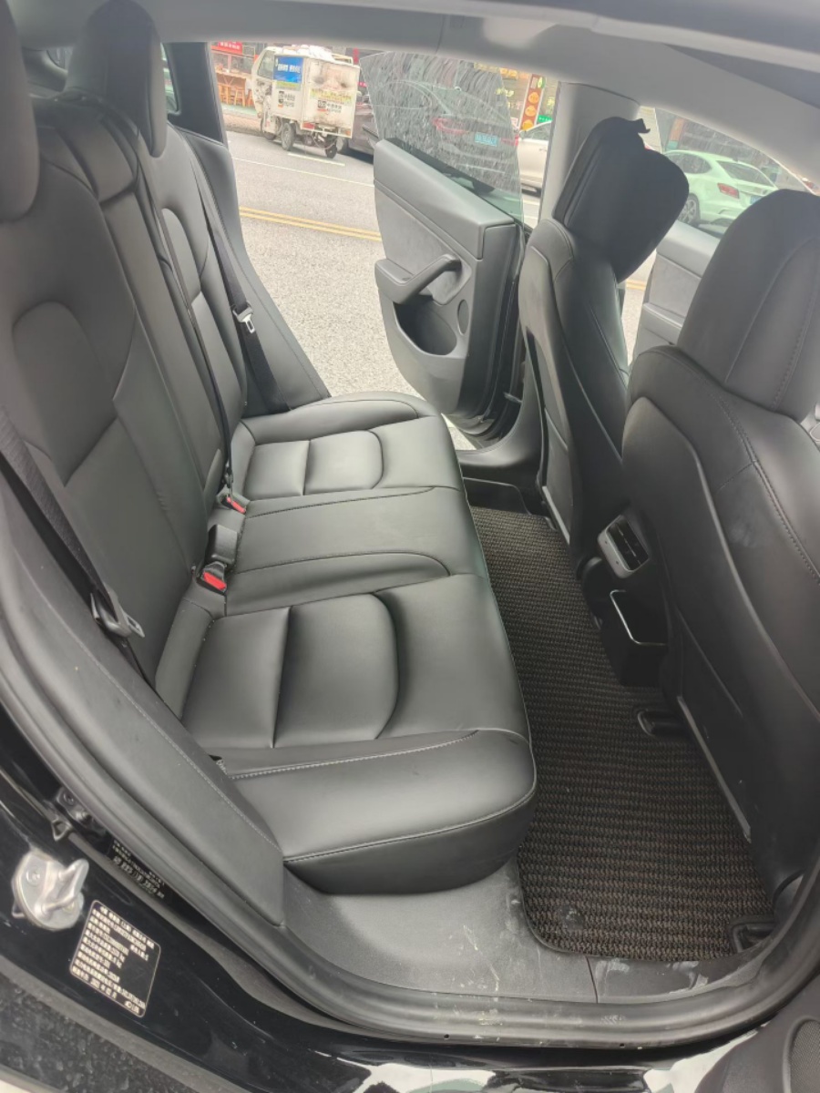 Tesla Model 3 2021 car image #4
