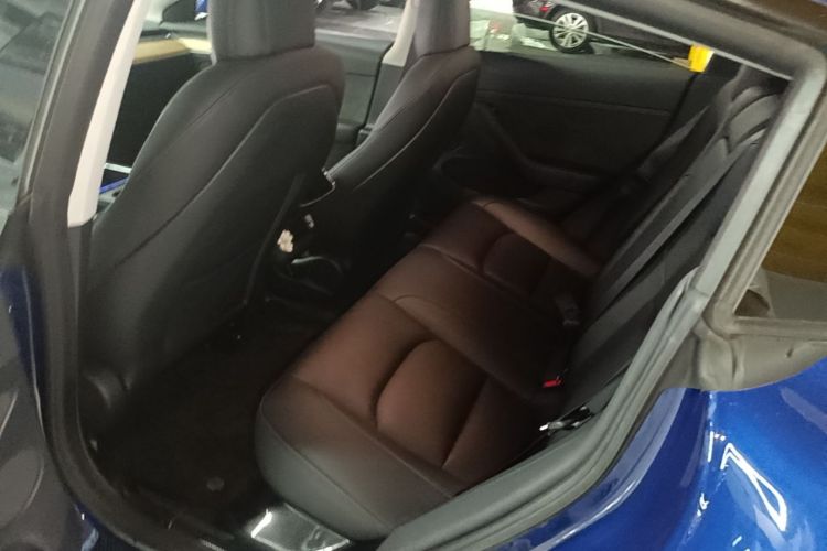Tesla Model 3 2021 car image #17