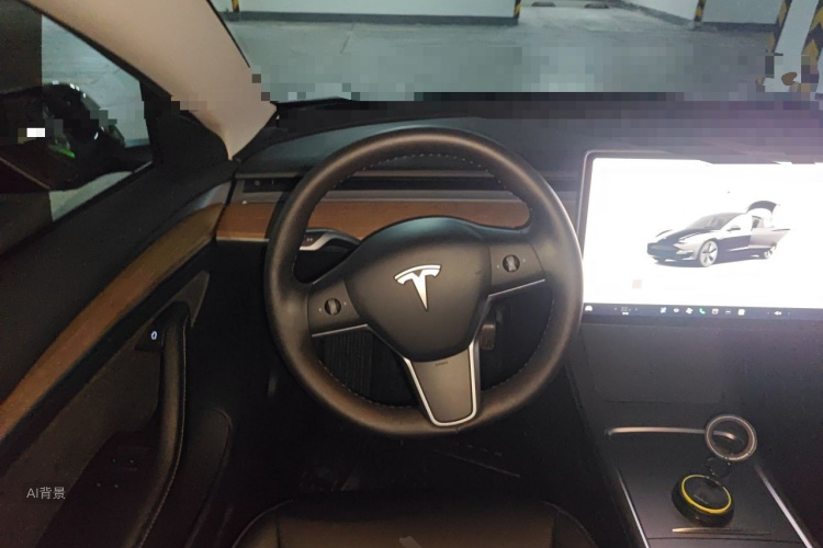 Tesla Model 3 2022 car image #12
