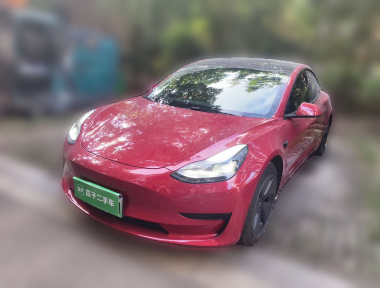 Tesla Model 3 2021 Tesla Model 3 2021 car image