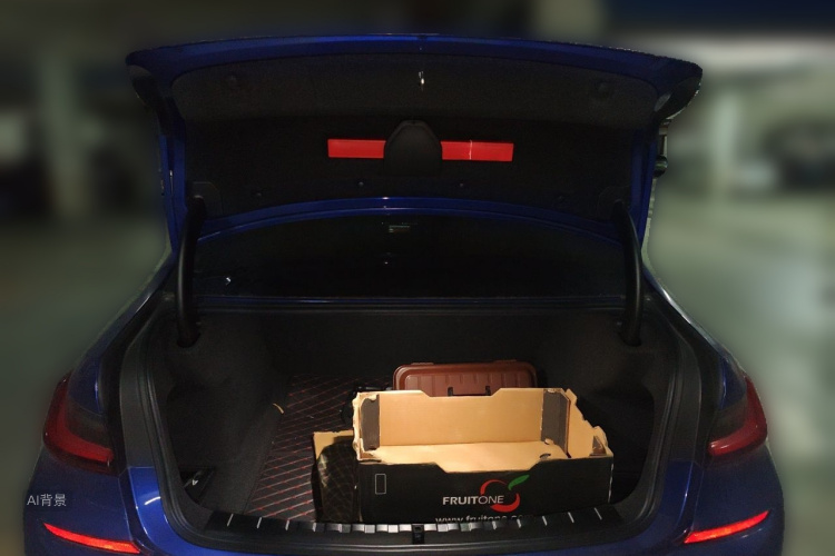 BMW 3 Series 2022 car image #21