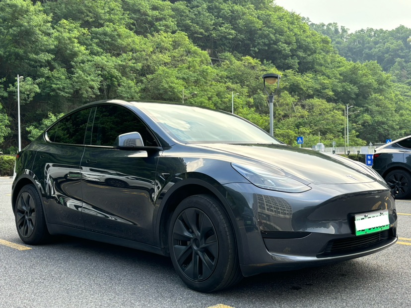 Tesla Model Y 2024 immagine di auto #3