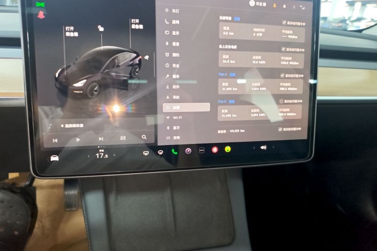 Tesla Model 3 2023 car image #16