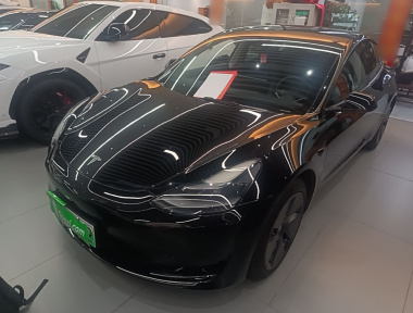 Tesla Model 3 2021 Tesla Model 3 2021 car image
