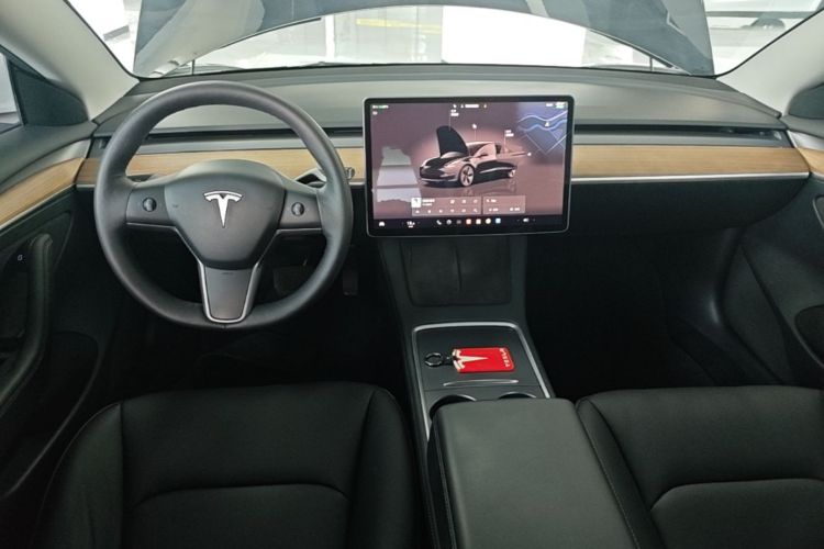 Tesla Model 3 2022 car image #10