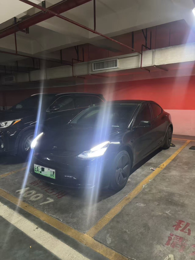 Tesla Model 3 2021 Tesla Model 3 2021 car image