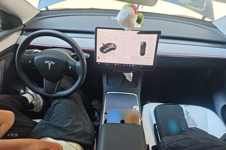 Tesla Model Y 2024 car image #11