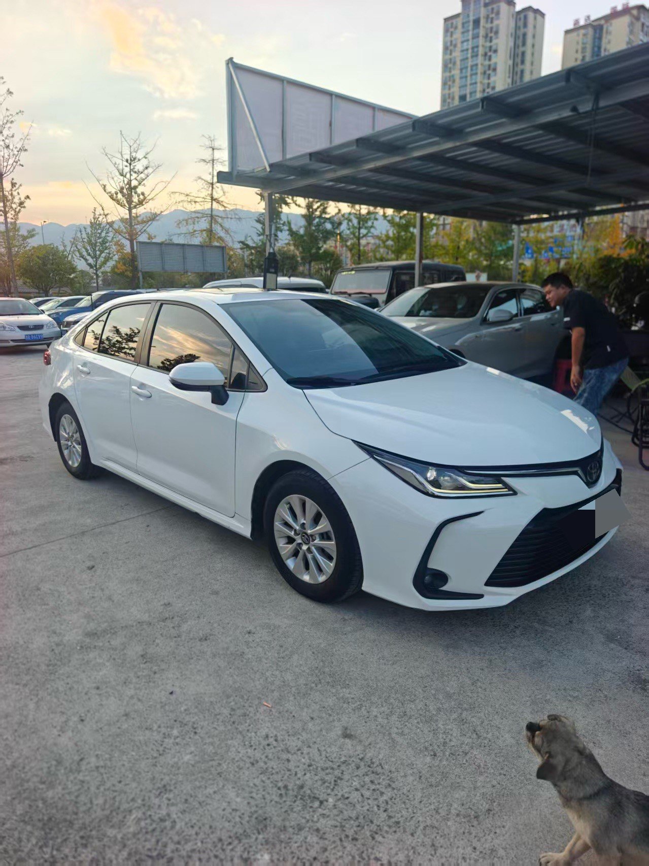 Toyota Corolla 2022 #3 Toyota Corolla 2022 immagine di auto #3