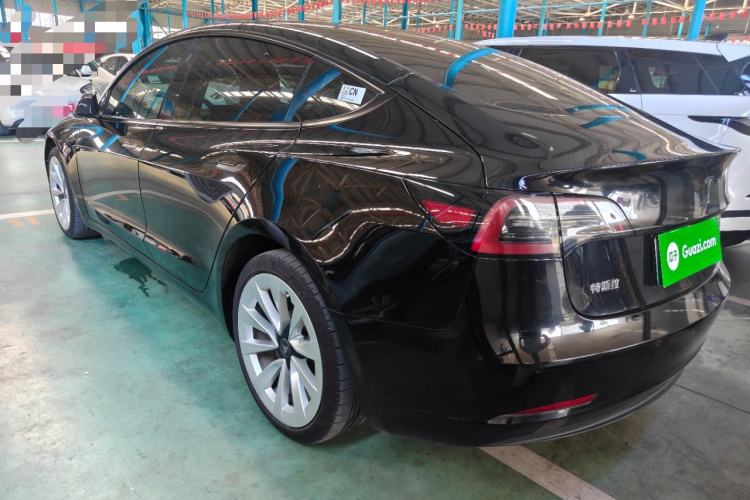 Tesla Model 3 2023 #7 Tesla Model 3 2023 car image #7