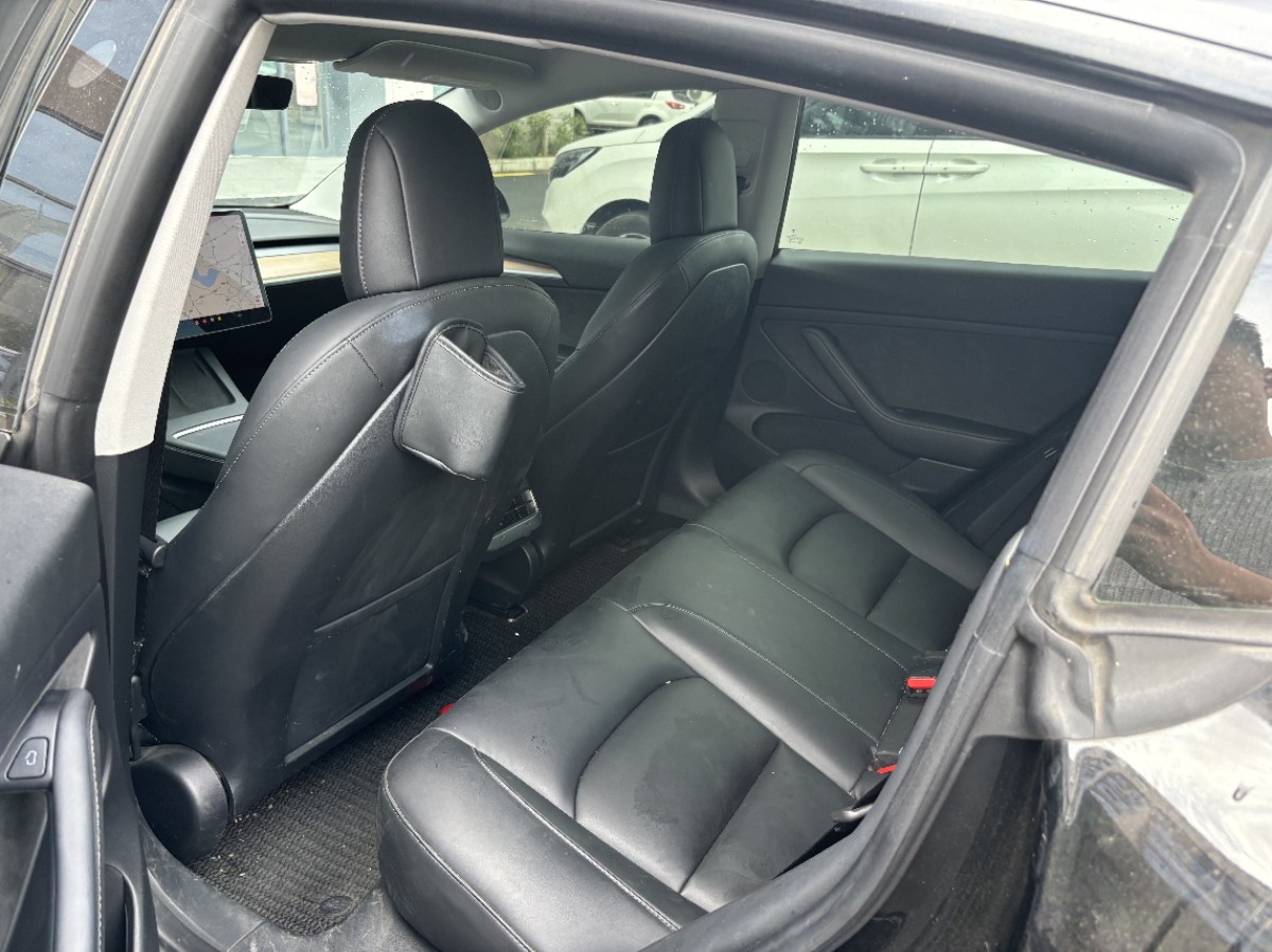 Tesla Model 3 2021 car image #6