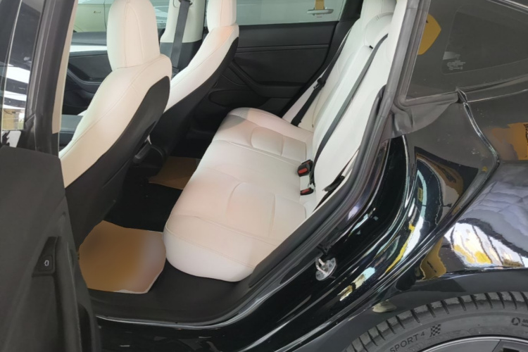 Tesla Model 3 2023 #17 Tesla Model 3 2023 car image #17
