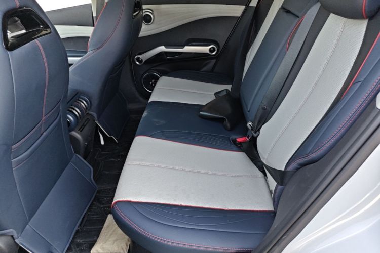 BYD Yuan Plus 2023 car image #13