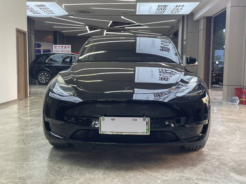 Tesla Model Y 2021 car image #2