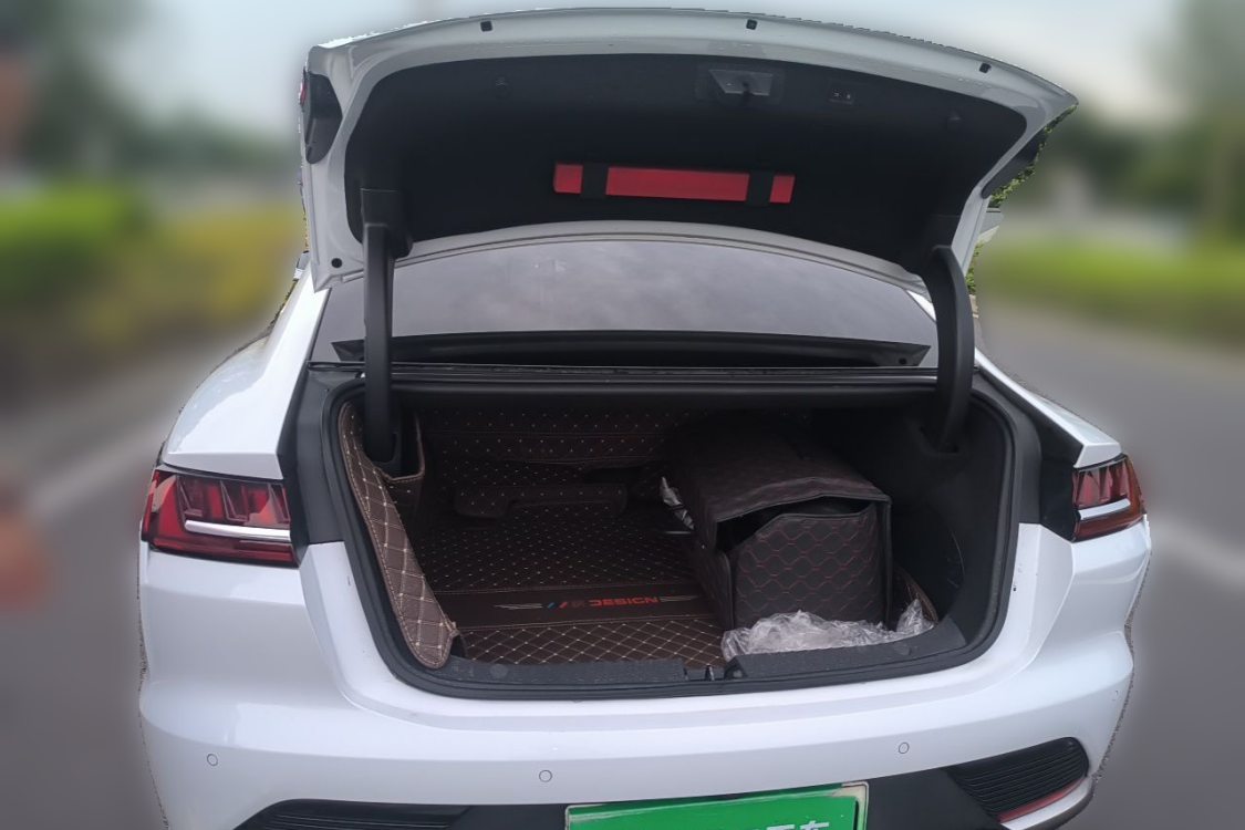 BYD Han 2021 car image #8