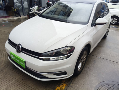 Volkswagen Golf 2019 car image 