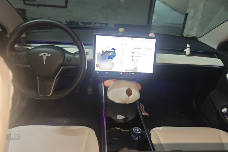 Tesla Model 3 2020 #11 Tesla Model 3 2020 car image #11
