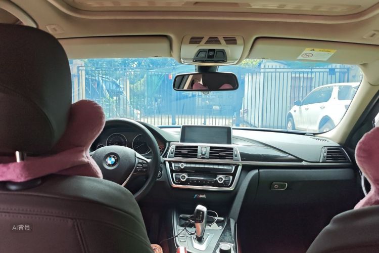 BMW 3 Series 2018 car image #20