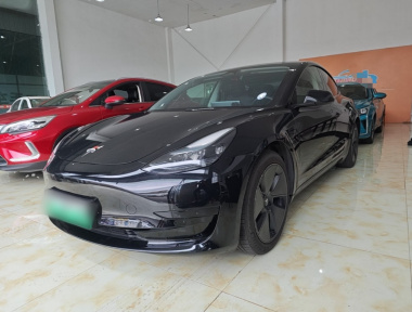 Tesla Model 3 2022 car image 
