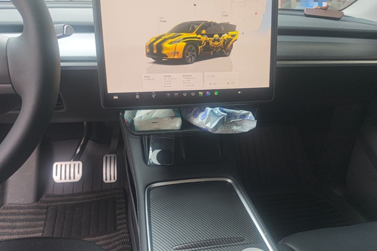 Tesla Model Y 2025 صورة سيارة #13