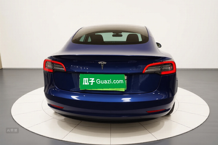 Tesla Model 3 2021 #6 Tesla Model 3 2021 car image #6